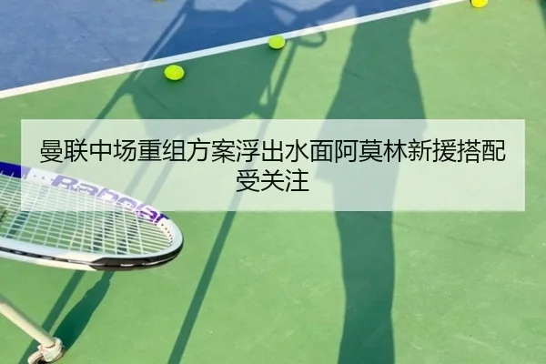曼联中场重组方案浮出水面阿莫林新援搭配受关注